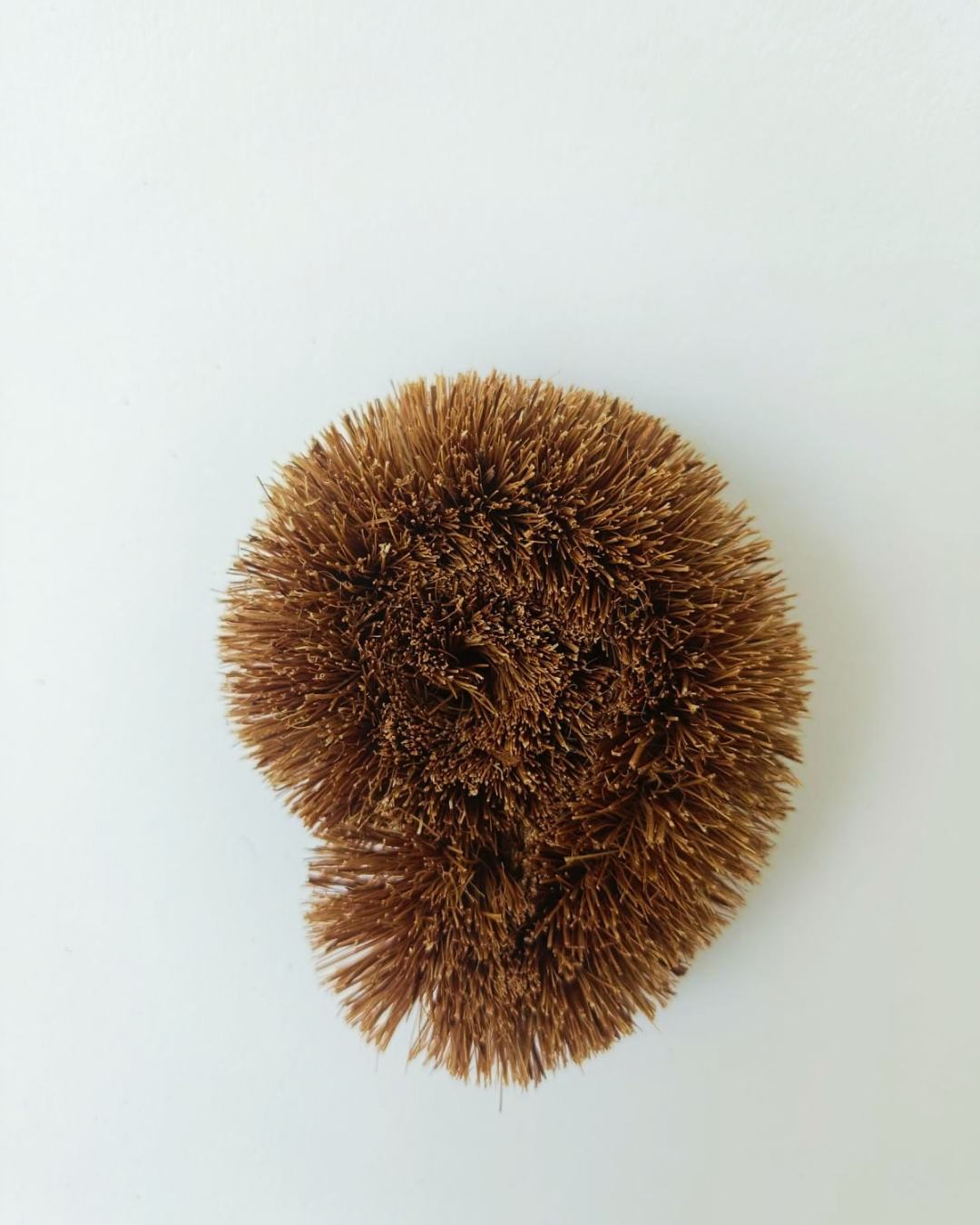 Coir Dish Scrubber DAAJE 9